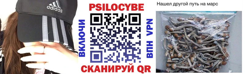 Псилоцибиновые грибы GOLDEN TEACHER Бронницы